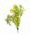 55cm Gypsophila Yellow Stem