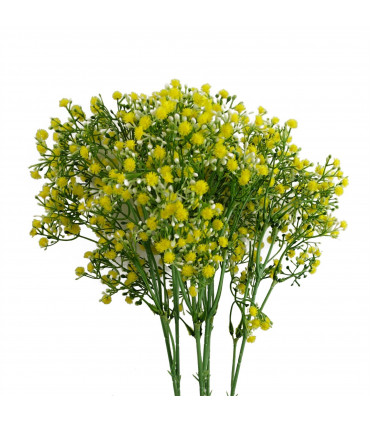 55cm Gypsophila Yellow Stem
