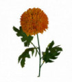 70cm Large Ball Dahlia Artificial Flower Stem Yellow