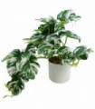 30cm Artificial Variegated Green Potted Monstera Trailing Plant