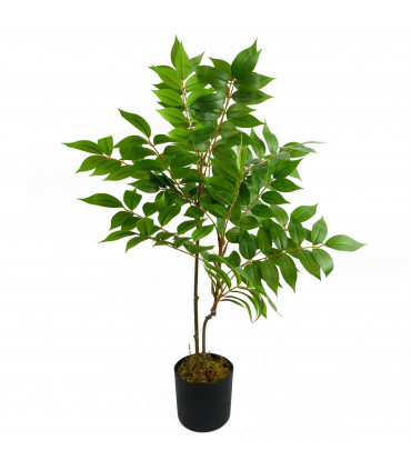 65cm Artificial Toona Sinensis Plant Evergreen