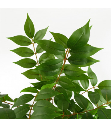 65cm Artificial Toona Sinensis Plant Evergreen
