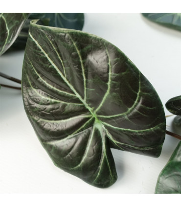 120cm Artificial Hanging Trailing Plant Alocasia Dragon Scale Dark