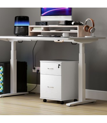 HOMCOM Pedestal Office Mobile Filing Cabinet 2 Drawer White