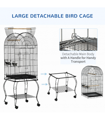 Bird Cage