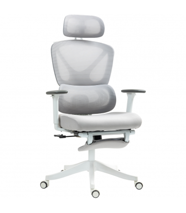 HOMCOM Ergonomic Office Chair, Recliner Computer Chair with Footrest, Grey