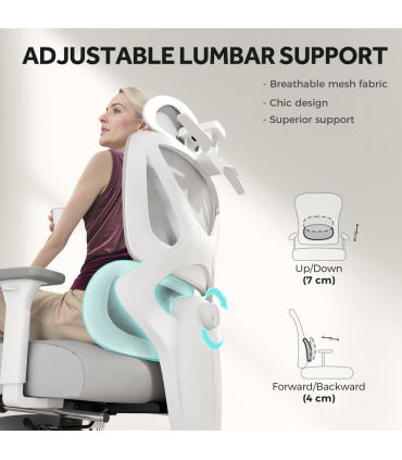 HOMCOM Ergonomic Office Chair, Recliner Computer Chair with Footrest, Grey