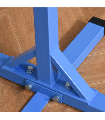 Kids Gymnastics Bar Adjustable Blue Steel Wood Beech 197L x 121W x 92H cm