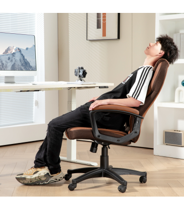 HOMCOM Executive Office Chair High Back Computer Chair with Armrests Brown