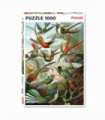 Haeckel Hummingbirds1000 Piece Jigsaw Puzzle