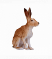 Hare Toy Figure  Realistic Woodland Animal Model