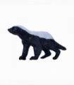 Honey Badger Male Toy  Realistic Wildlife Figurine
