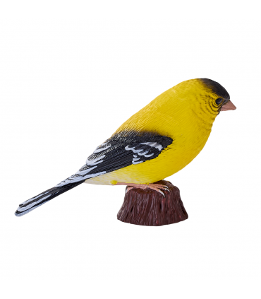 American Goldfinch Bird Toy  Realistic Wildlife Model