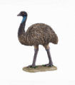 Emu Toy Figure  Realistic Australian Wildlife Model