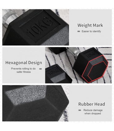 Hexagonal Dumbbells Kit Weight Lifting Exercise for Home Fitness 2x10kg HOMCOM