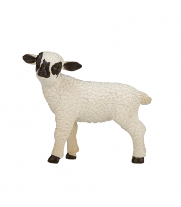 Black-Faced Lamb Standing  Realistic Farm Animal Figure