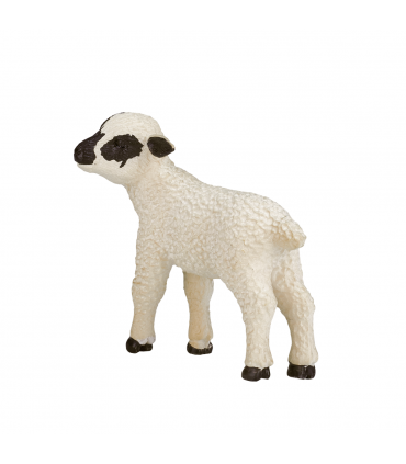 Black-Faced Lamb Standing  Realistic Farm Animal Figure