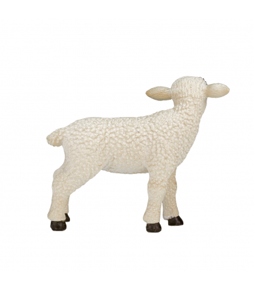 Black-Faced Lamb Standing  Realistic Farm Animal Figure