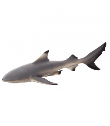 Blacktip Reef Shark Toy  Realistic Ocean Predator Model