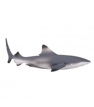 Blacktip Reef Shark Toy  Realistic Ocean Predator Model