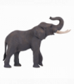 African Elephant Toy  Realistic Wildlife Model