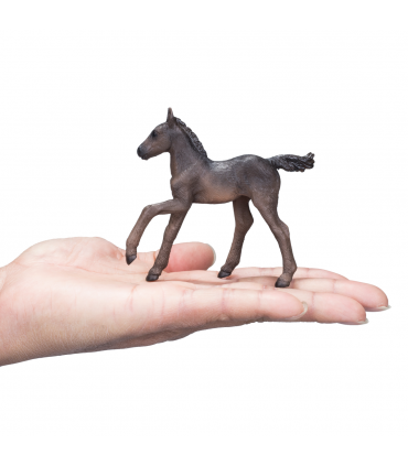 Arabian Foal Black  Realistic Horse Model