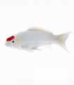 Koi Carp Tancho Toy  Realistic Fish Figurine