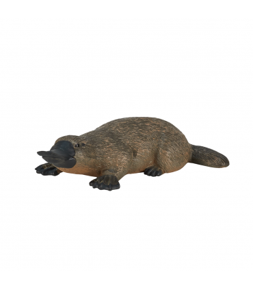 Duck-Billed Platypus Toy  Realistic Australian Wildlife Model