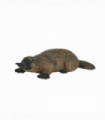 Duck-Billed Platypus Toy  Realistic Australian Wildlife Model
