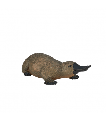 Duck-Billed Platypus Toy  Realistic Australian Wildlife Model