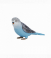 Blue Budgerigar Toy  Realistic Exotic Bird Figurine