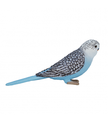 Blue Budgerigar Toy  Realistic Exotic Bird Figurine