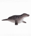 Grey Seal Toy  Realistic Marine Mammal Model