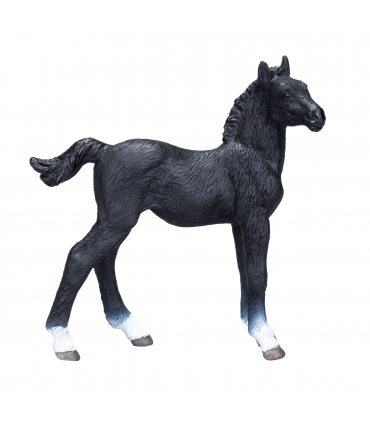 Hanoverian Foal Black  Realistic Equestrian Figurine