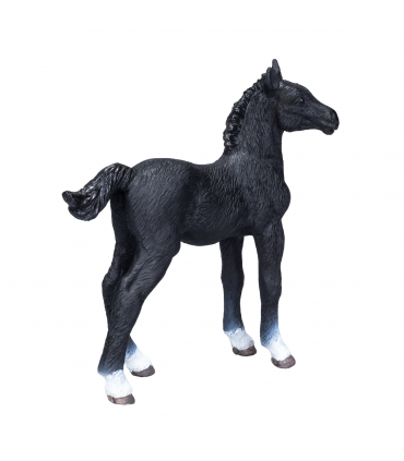 Hanoverian Foal Black  Realistic Equestrian Figurine