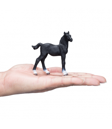 Hanoverian Foal Black  Realistic Equestrian Figurine
