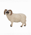 Black-Faced Sheep Ram Toy  Realistic Farm Animal Figurine