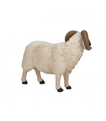 Black-Faced Sheep Ram Toy  Realistic Farm Animal Figurine