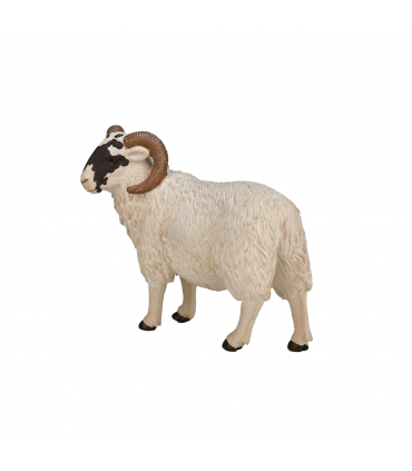 Black-Faced Sheep Ram Toy  Realistic Farm Animal Figurine