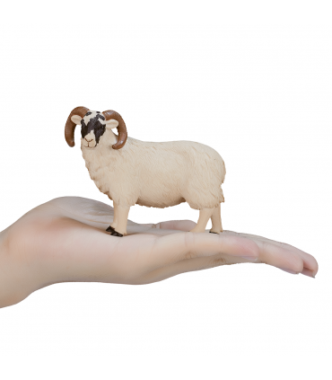 Black-Faced Sheep Ram Toy  Realistic Farm Animal Figurine