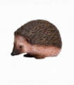Hedgehog Toy  Realistic Woodland Animal Figurine