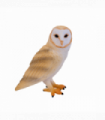 Barn Owl Toy  Realistic Nocturnal Bird Figurine