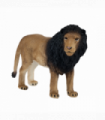 Lion Toy  Realistic Big Cat Model