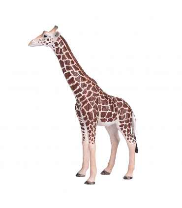 Giraffe Male Toy  Realistic African Wildlife Figure