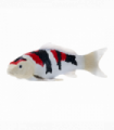 Koi Carp Showa Sanshoku Toy  Realistic Fish Model