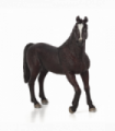 Arabian Stallion Black Toy  Realistic Equestrian Model