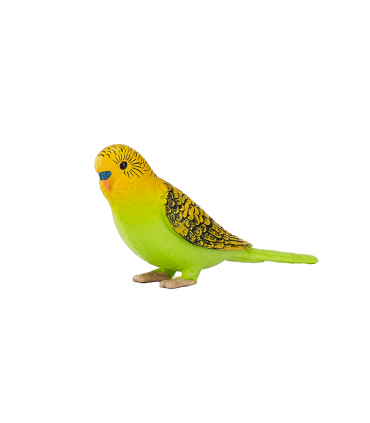 Green Budgerigar Toy  Realistic Exotic Bird Figurine