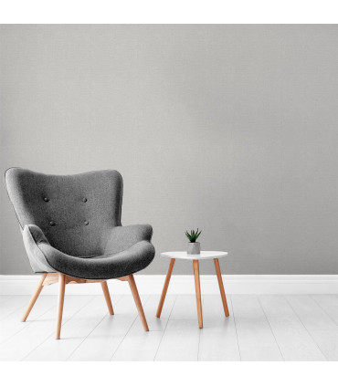 Luxury Plain Soft Silver sw6