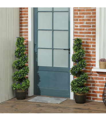 Elegant Spiral Boxwood & Lavender Plant Set – Low Maintenance Decor