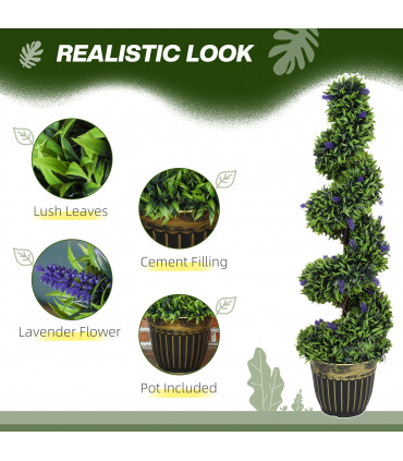 Elegant Spiral Boxwood & Lavender Plant Set – Low Maintenance Decor